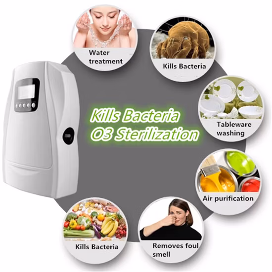 Purificatore d'aria e acqua purificatore sterilizzatore generatore di ozono con funzionamento a ciclo